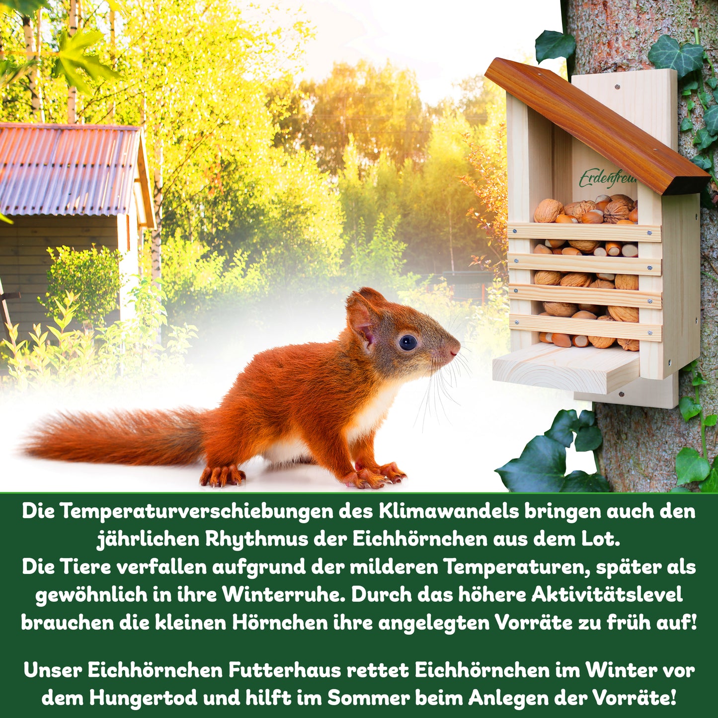 Eichhörnchen Futterhaus
