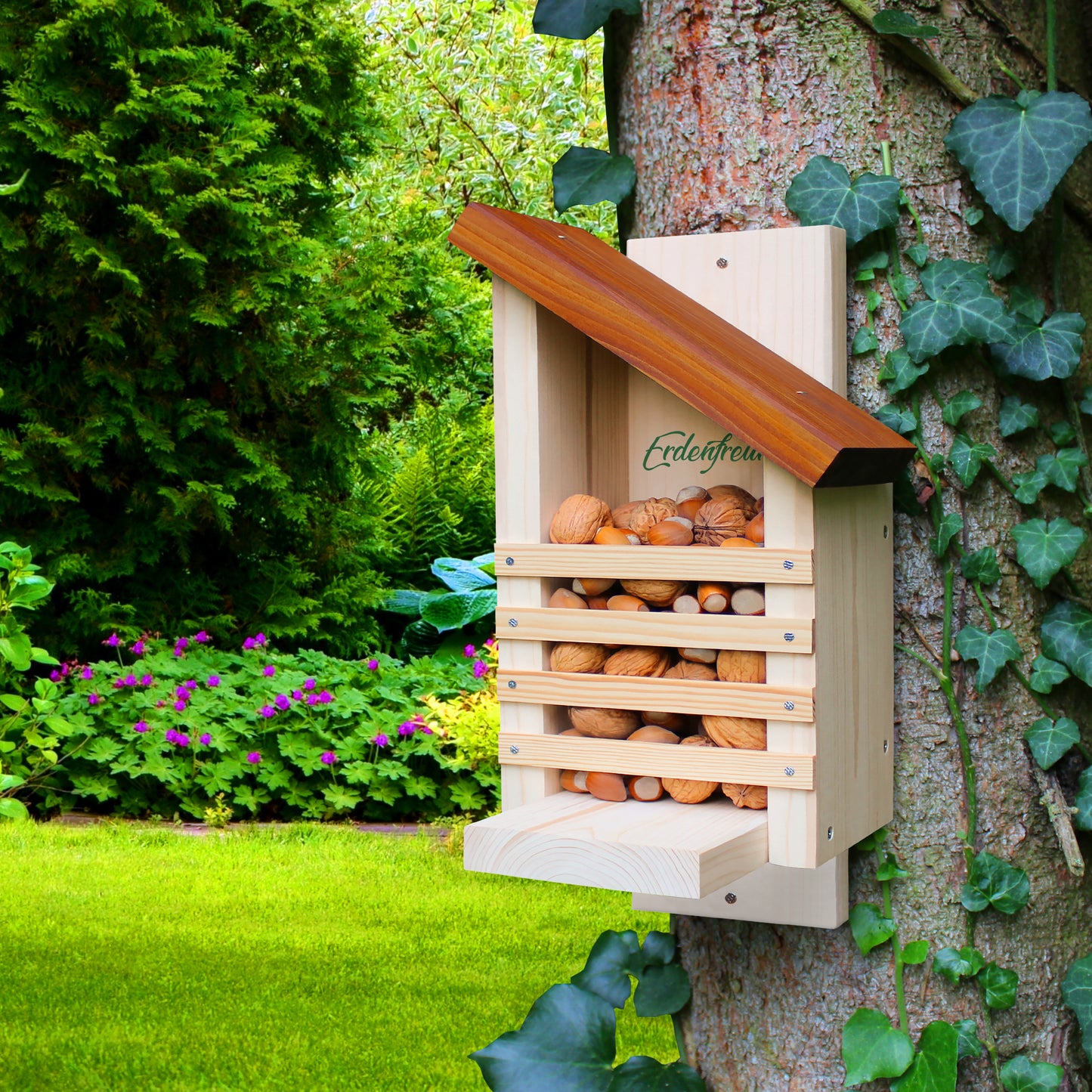 Eichhörnchen Futterhaus