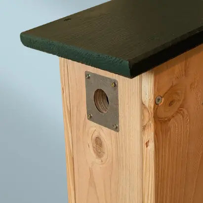 Spechtschutz an Nistkasten