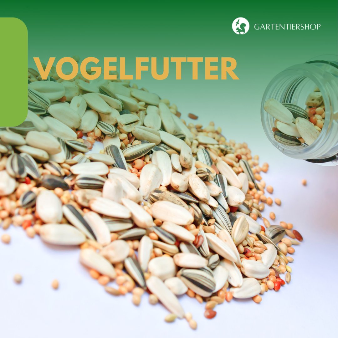 Vogelfutter