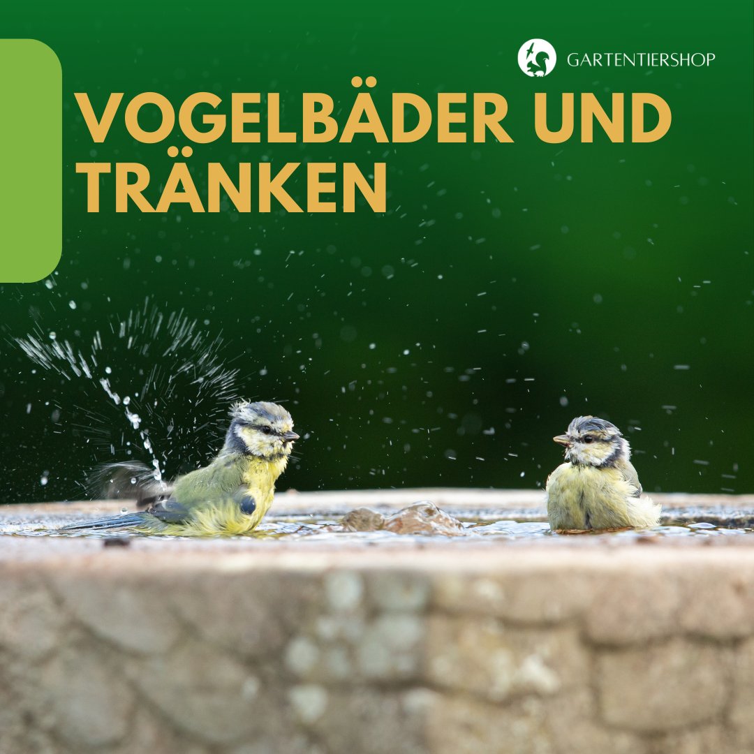 Vogelbäder und Tränken