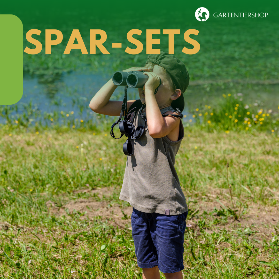 Sparsets