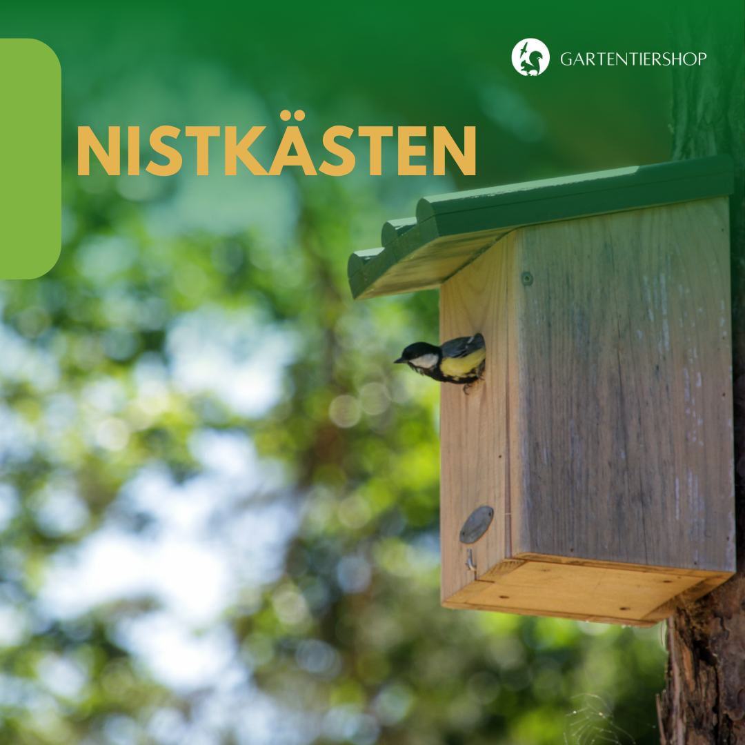 Nistkästen
