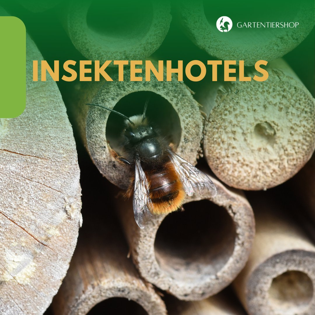 Insektenhotels