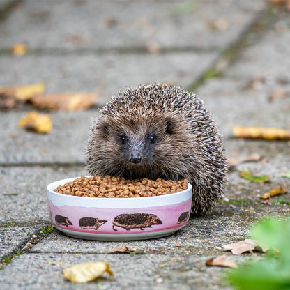 Igel-Schale