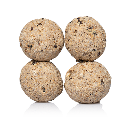 Power-Knödel 4er Pack