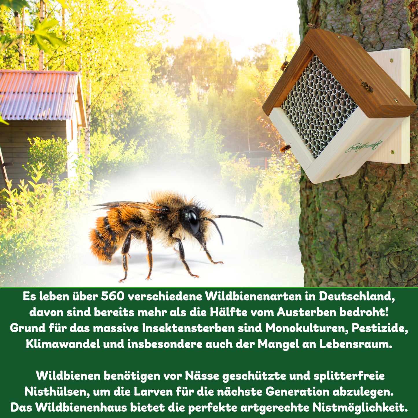 Wildbienenhotel mit Wandhalterung